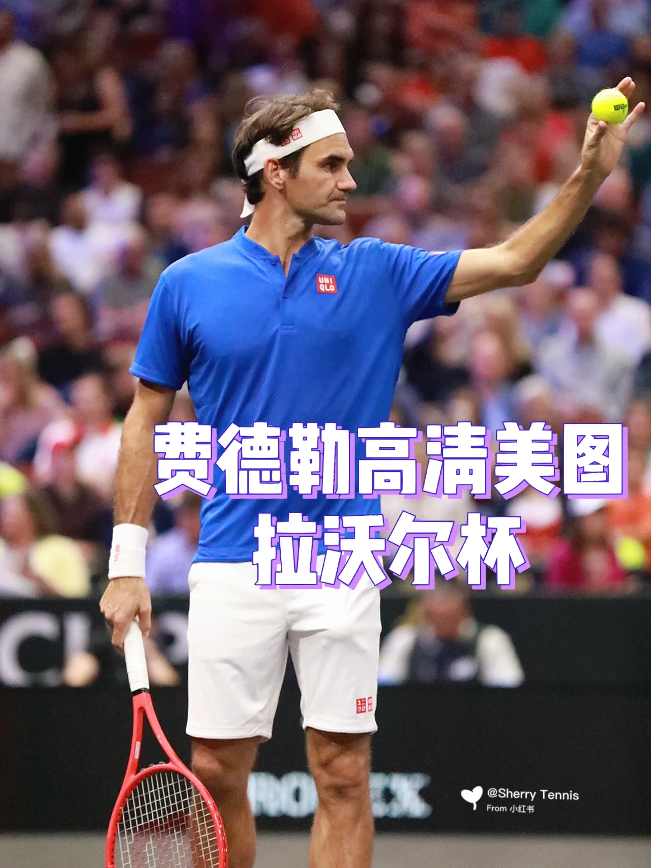 包含世界网球队横扫西班牙网球队,费德勒惊艳世界的词条 包含世界网球队横扫西班牙网球队,费德勒惊艳世界的词条