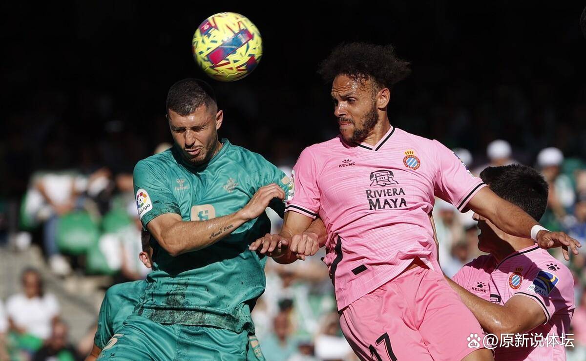 菲尔茨主场连败，保级形势堪忧！