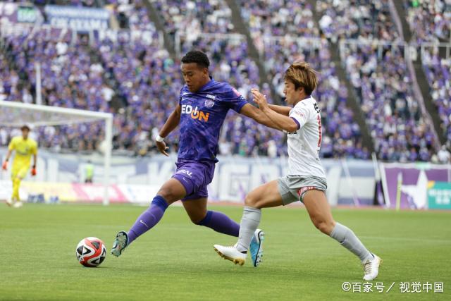 汉堡队客场不敌对手，战绩受挫