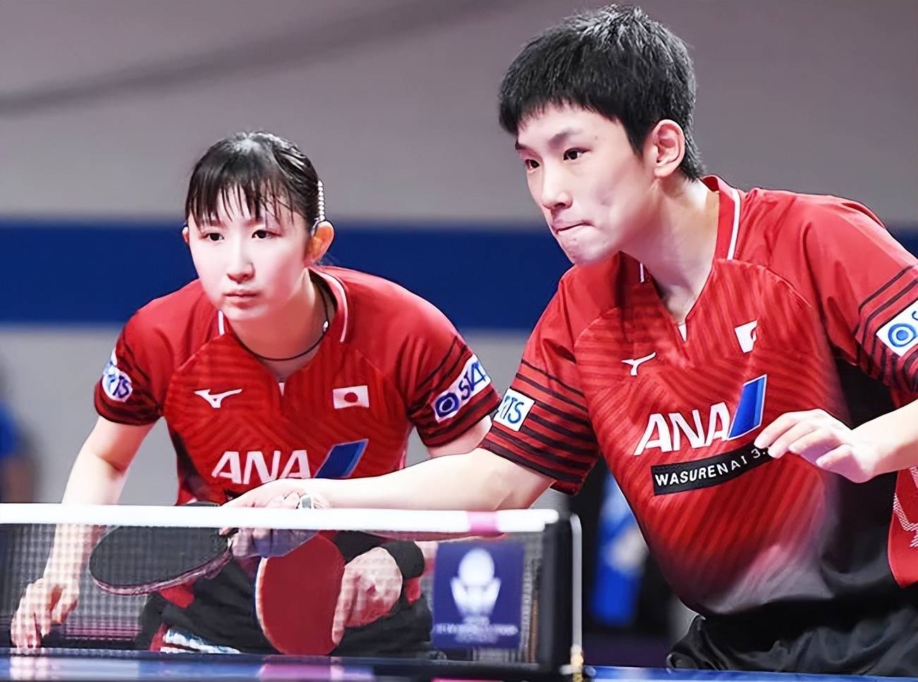 开云下载-韩国队逆转日本队，张本智和带队取胜